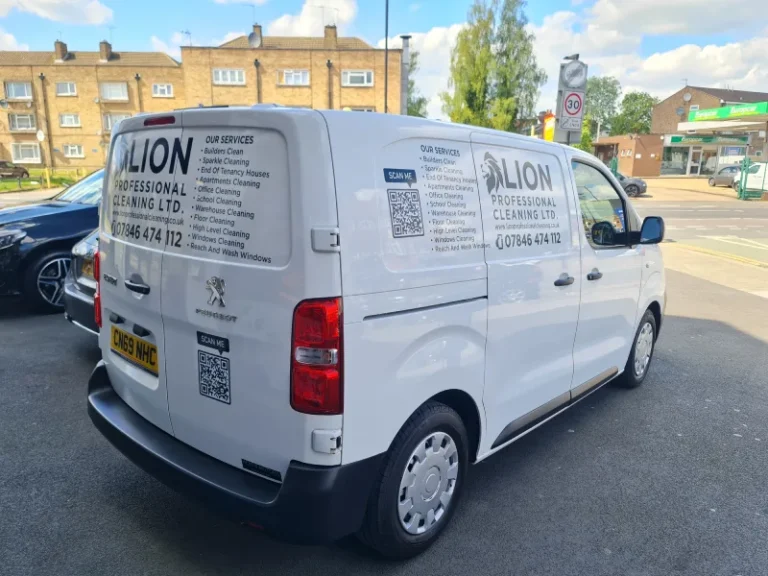 Lion Professional Cleaning